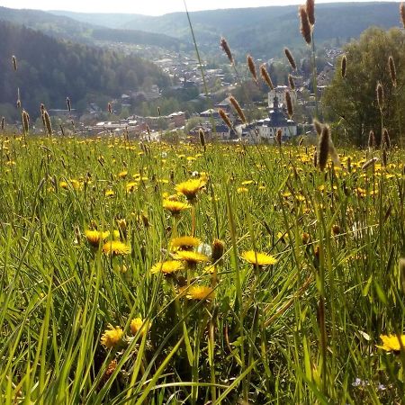 Ferienwohnung Doehlerwald Klingenthal Zewnętrze zdjęcie