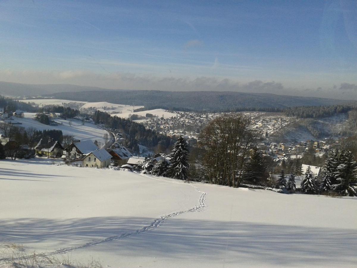 Ferienwohnung Doehlerwald Klingenthal Zewnętrze zdjęcie