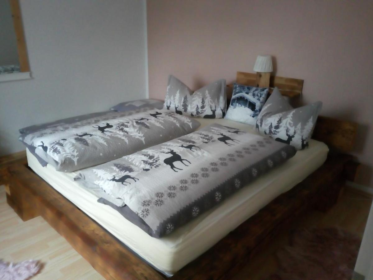 Ferienwohnung Doehlerwald Klingenthal Zewnętrze zdjęcie