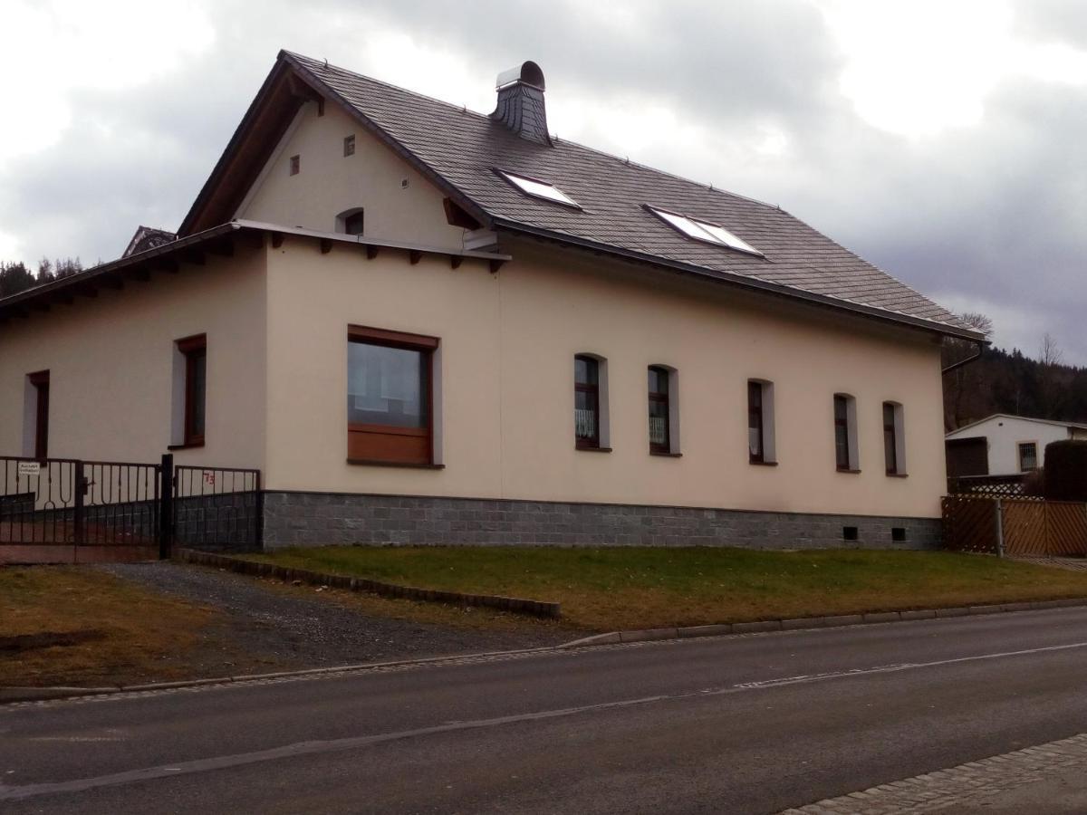 Ferienwohnung Doehlerwald Klingenthal Zewnętrze zdjęcie
