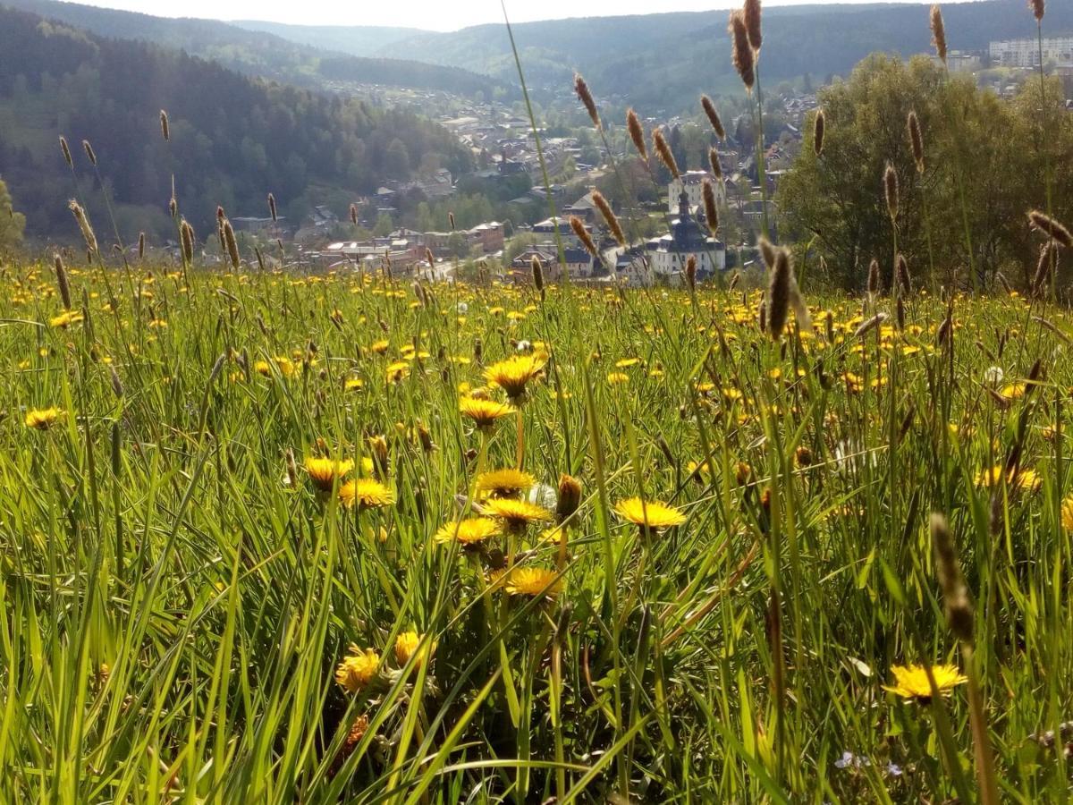 Ferienwohnung Doehlerwald Klingenthal Zewnętrze zdjęcie